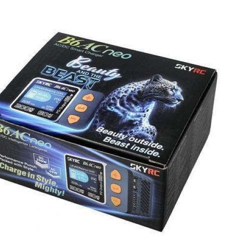 Зарядное устройство SkyRC B6ACneo 60W/200W с/БИП универсальное (SK-100200) фото 2