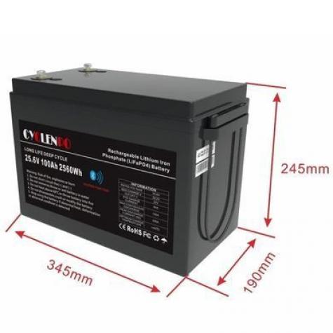 Cyclen 25.6V 100AH LiFePo4 Аккумуляторная батарея фото 2