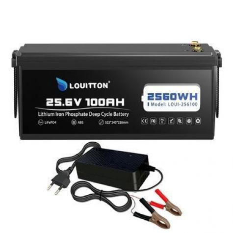 Аккумулятор LOUITTON 24V 100AH LiFePO4 24100 фото 2