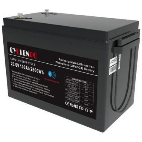 Cyclen 25.6V 100AH LiFePo4 Аккумуляторная батарея фото 1
