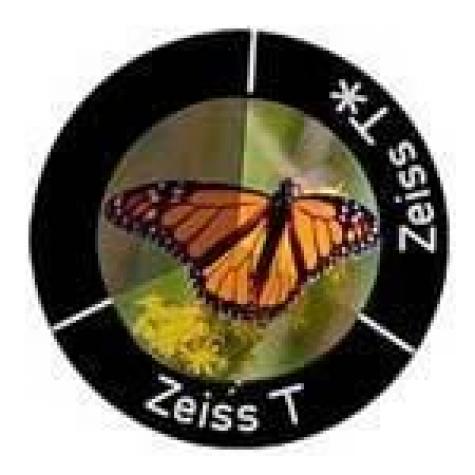 Бинокль Zeiss Conquest HD 8х56 фото 3
