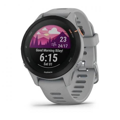 Умные часы Garmin FORERUNNER 255S со светло-серым ремешком фото 1