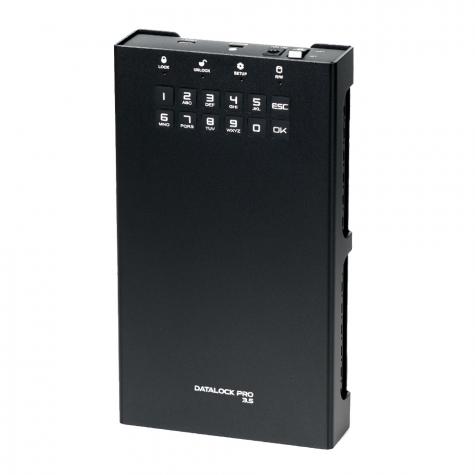 Внешний диск с аппаратным шифрованием DataLock PRO 3.5 6 ТБ фото 1