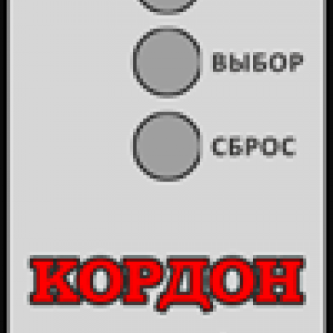 Арочный металлодетектор Кордон С2 фото 4
