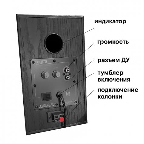 Подавитель диктофонов и микрофонов Бубен-Ультра Колонка фото 3