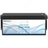 Аккумулятор Bottione LiFePO4 24V/100AH (2560W*h) 24100 фото навигации 3